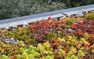 the cost of Robeston Back green roof installation