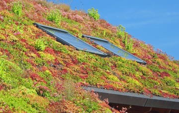 Robeston Back living roof systems