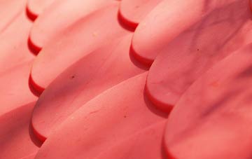 Robeston Back plastic roof costs