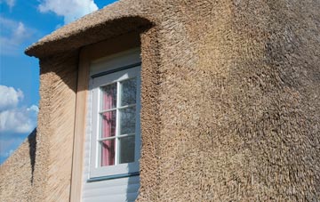 Robeston Back thatch roof disadvantages