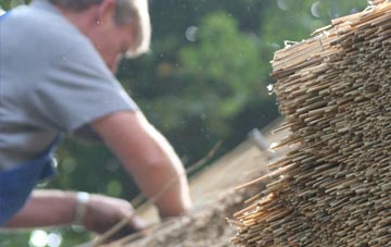 professional Robeston Back thatchers