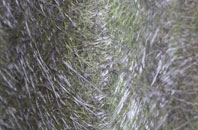 Robeston Back fibreglass roof work